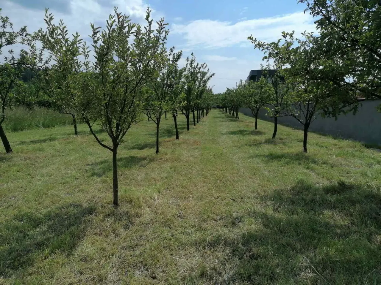 Се продава градежен плац во Берово
